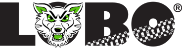 DNS Group Logo